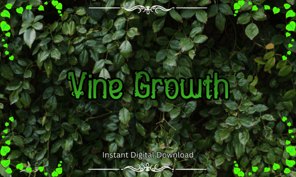 Vine Growth Font: A Display Typeface for Nature-Inspired Digital Design