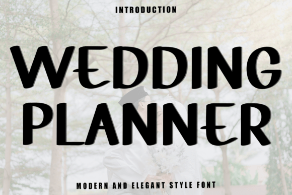 Wedding Planer: A Festive Display Font That Delivers Joy—Not Just Gimmicks